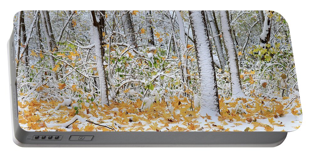 Winter Portable Battery Charger featuring the photograph Winter and Autumn Meet by Paula Guttilla