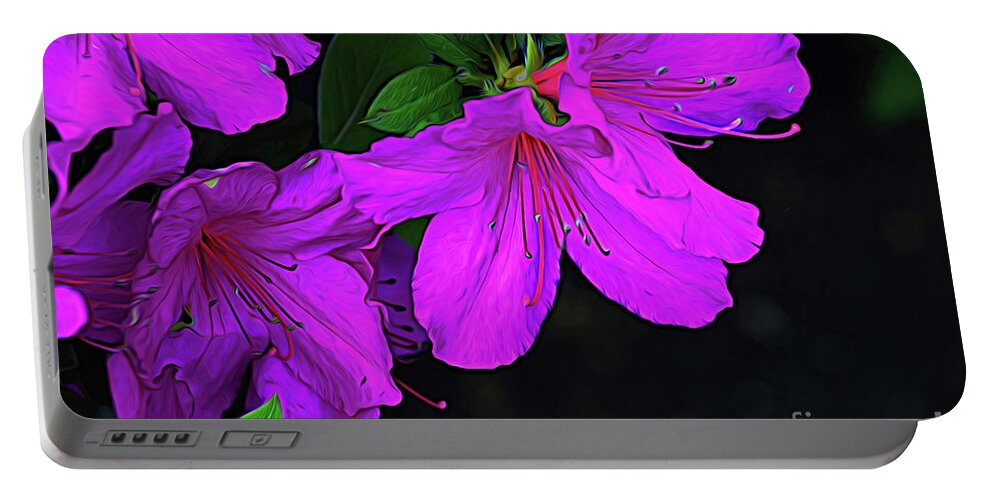 Winter Portable Battery Charger featuring the photograph Winter Azaleas in Ink by Diana Mary Sharpton