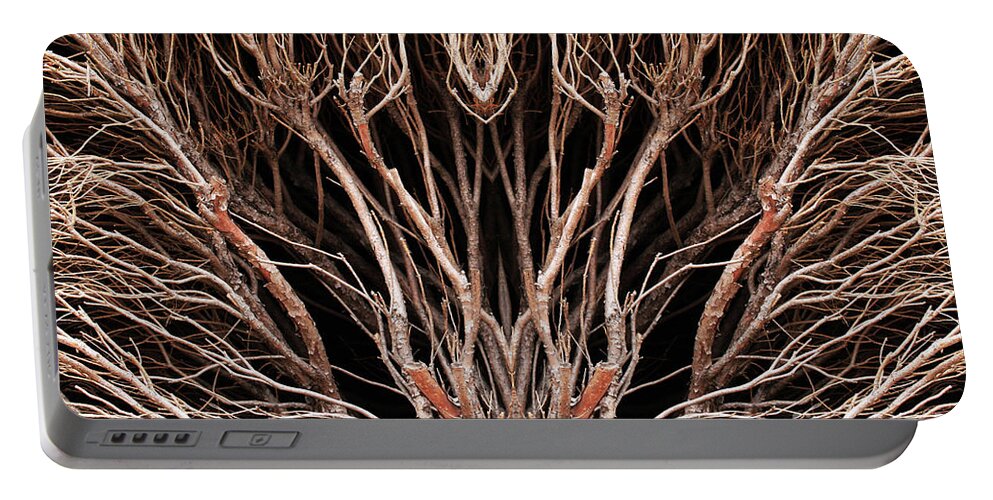 Branches; Shrubbery; Brown; Symmetry; Close-up; Portable Battery Charger featuring the photograph Winter Branches by Tina Uihlein
