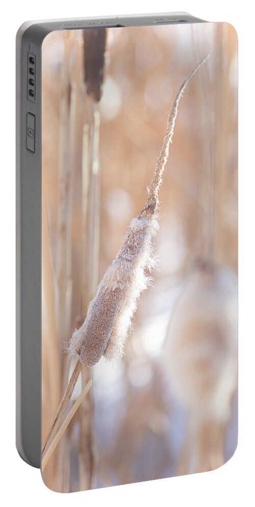 Winter Portable Battery Charger featuring the photograph Winter Cattails by Karen Rispin