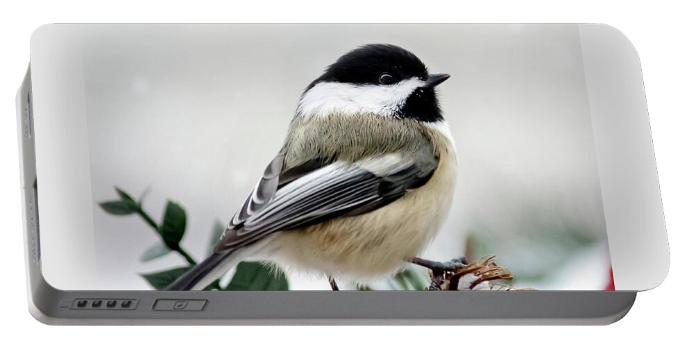 Winter Portable Battery Charger featuring the photograph Winter Chickadee Square by Christina Rollo