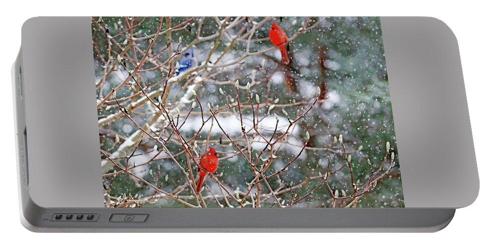 Northern Red Cardinal Portable Battery Charger featuring the photograph Winter Feathered Friends by Debbie Oppermann
