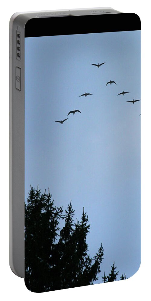 Geese Portable Battery Charger featuring the photograph Winter Flight by Patricia Overmoyer
