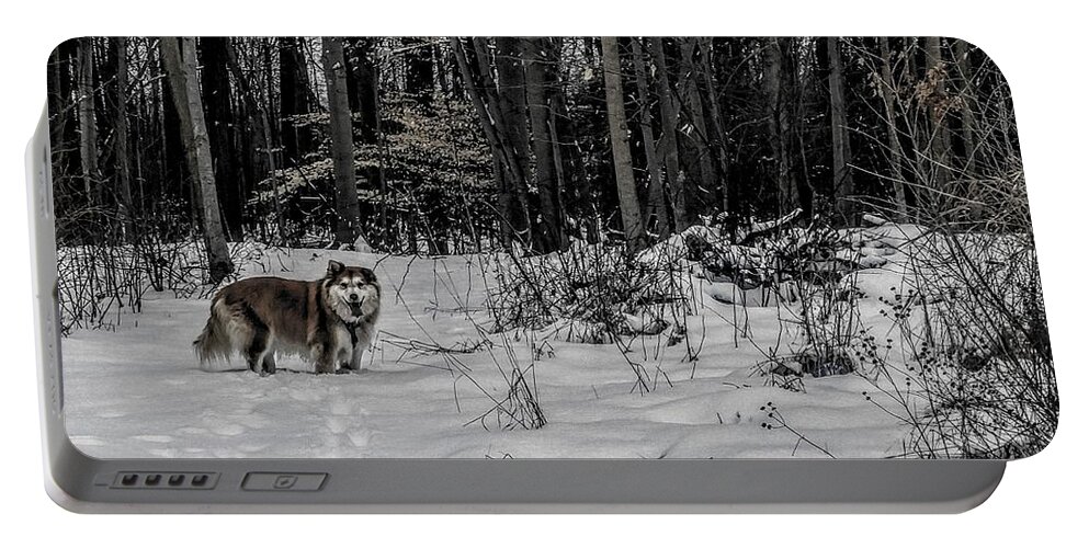  Portable Battery Charger featuring the photograph Winter Hike by Brad Nellis