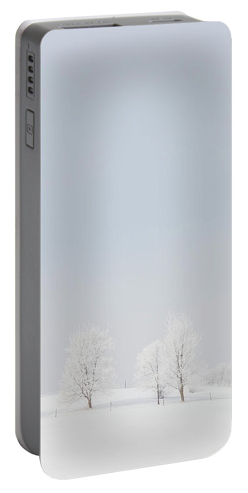 Winter Portable Battery Charger featuring the photograph Winter Snow Scene - Vertical 3 by Patti Deters