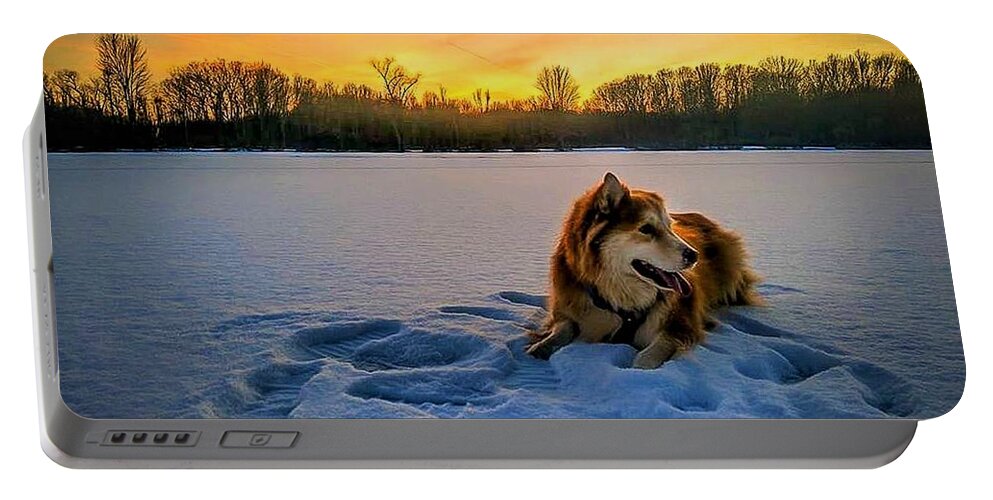  Portable Battery Charger featuring the photograph Winter Sunset by Brad Nellis