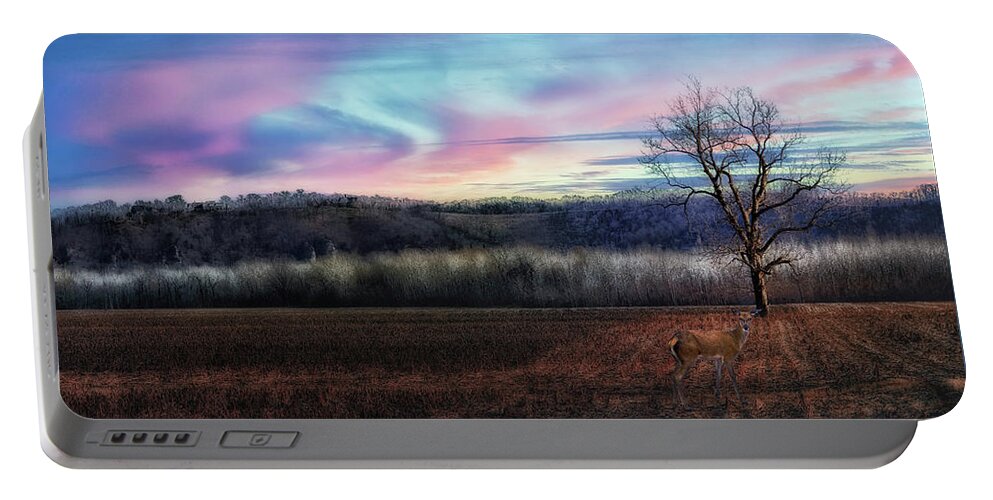 Winter Portable Battery Charger featuring the photograph Winter Sunset in Isolation by Bill and Linda Tiepelman
