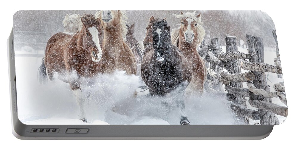 Horse Portable Battery Charger featuring the photograph Winter Thunderland by Dawn Key