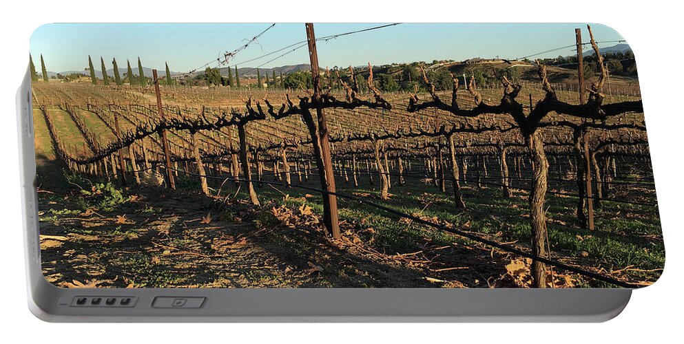 Winter Portable Battery Charger featuring the photograph Winter Vines Hart Winery Temecula by Roxy Rich