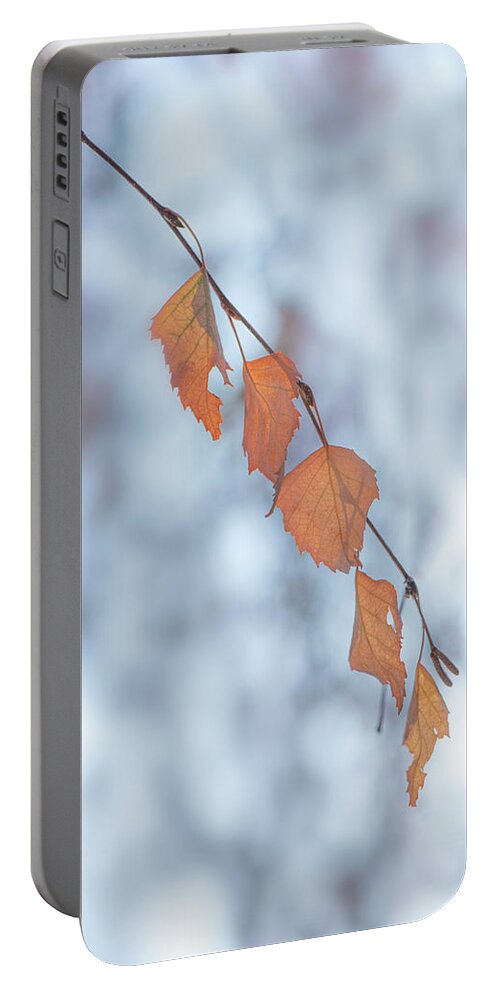 Winter Portable Battery Charger featuring the photograph Winter Weeping Birch Leaves by Karen Rispin