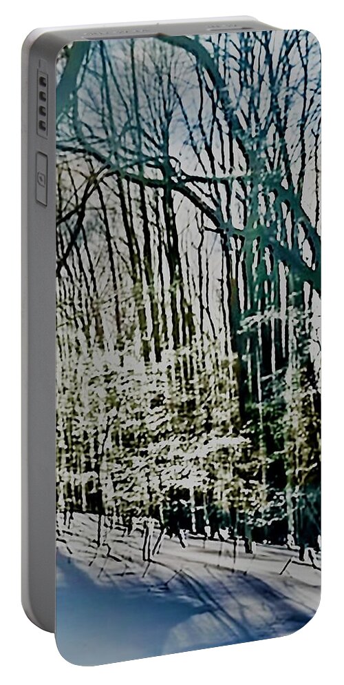 Snow Portable Battery Charger featuring the photograph Winter Wonderland by John Anderson