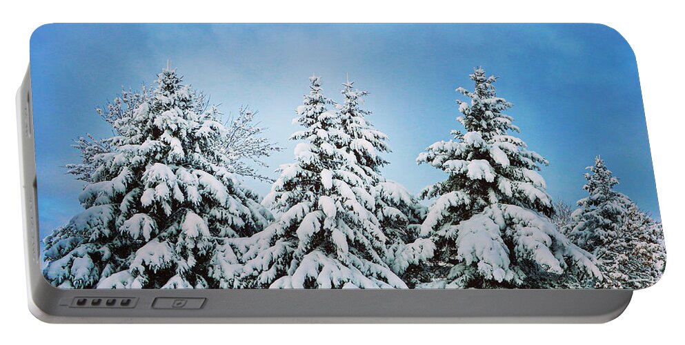 Winter Portable Battery Charger featuring the photograph Winter Wonderland by Sarah Lilja