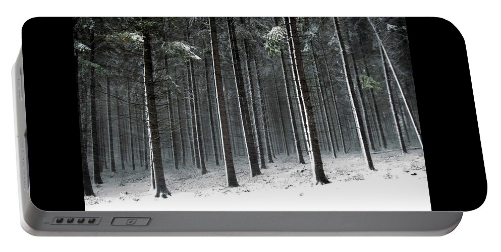 Woods Portable Battery Charger featuring the photograph Winter Woods by Robert Dann