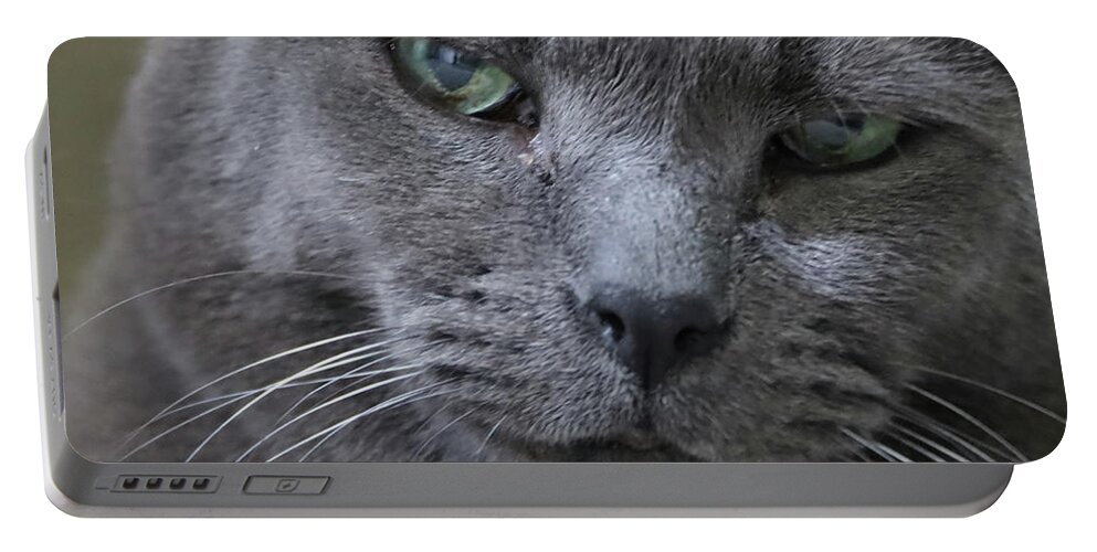 Cat Portable Battery Charger featuring the photograph Wise Old Cat by M Kathleen Warren