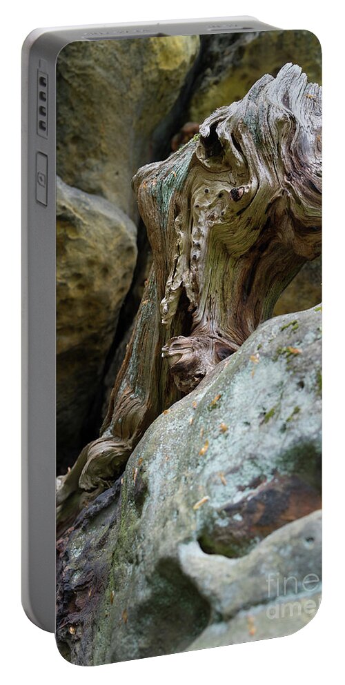 Wood Portable Battery Charger featuring the photograph Wood and sandstone unite 1 by Adriana Mueller