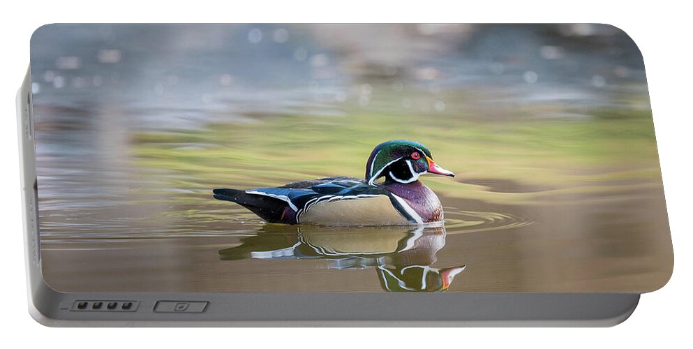 Wood Duck Portable Battery Charger featuring the photograph Wood duck 1 by Stephen Holst