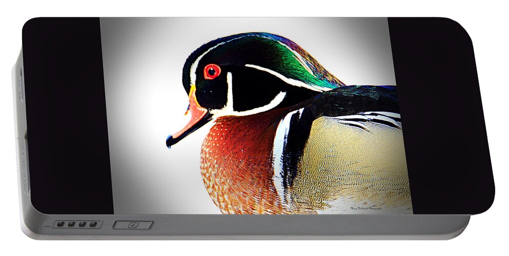 Wood Duck Portable Battery Charger featuring the photograph Wood Duck Close Up by Mary Walchuck