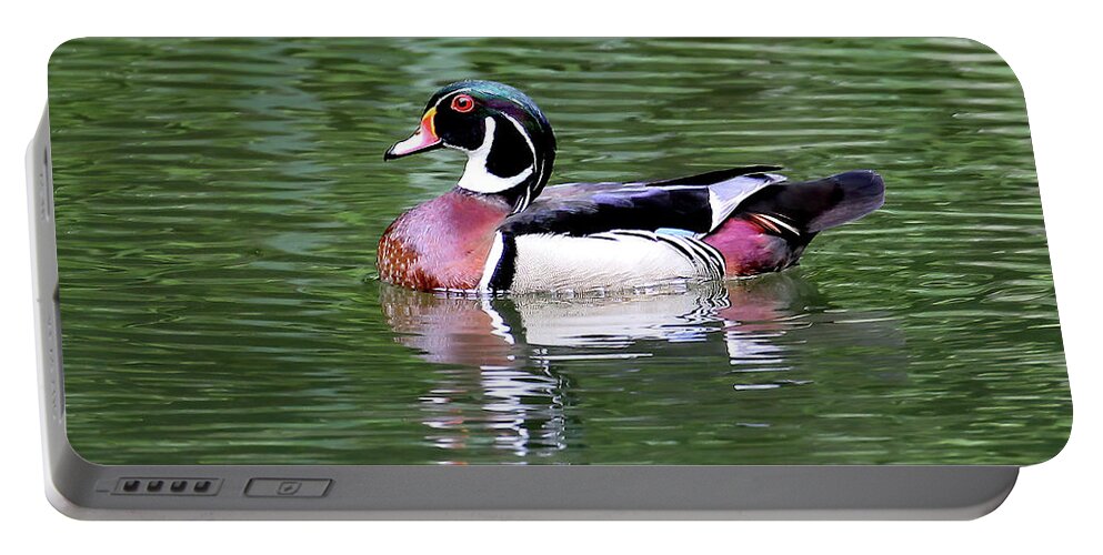 North Carolina Portable Battery Charger featuring the photograph Wood Duck In Lancewood by Jennifer Robin