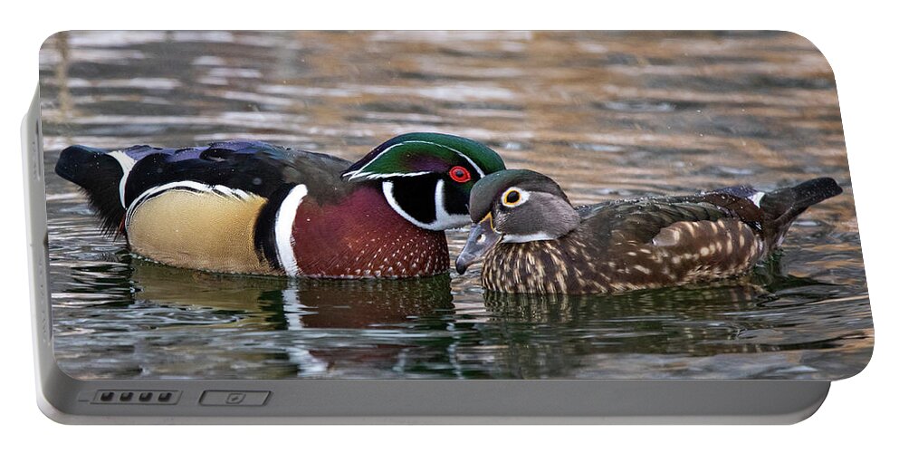 Wood Ducks Portable Battery Charger featuring the photograph Wood Duck Pair by Wesley Aston