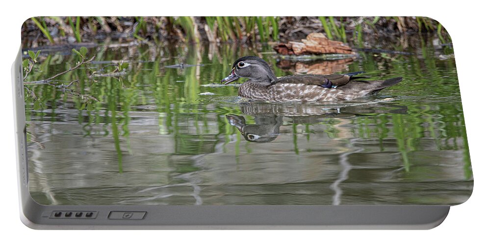 Wood Ducks Portable Battery Charger featuring the photograph Wood Ducks - 11 by David Bearden