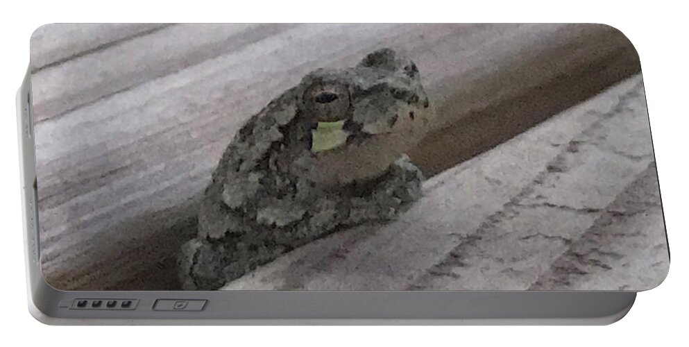 Wood Frog Portable Battery Charger featuring the photograph Back Porch Wood Frog Lateral by Mary Kobet