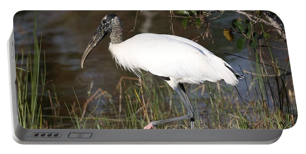 Wood Storks Portable Battery Charger featuring the photograph Wood stork 4 by Mingming Jiang