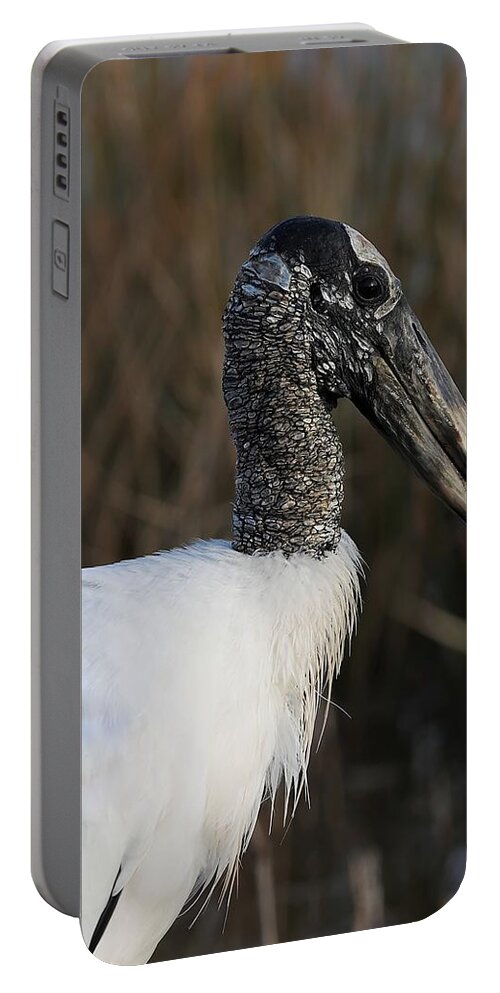 Wood Storks Portable Battery Charger featuring the photograph Scaly Neck and Head by Mingming Jiang