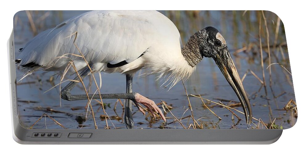 Wood Storks Portable Battery Charger featuring the photograph Wood stork by Mingming Jiang