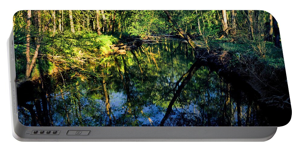 Tranquil Portable Battery Charger featuring the photograph Woodland Calm No.18 - Accotink Stream Reflections by Steve Ember