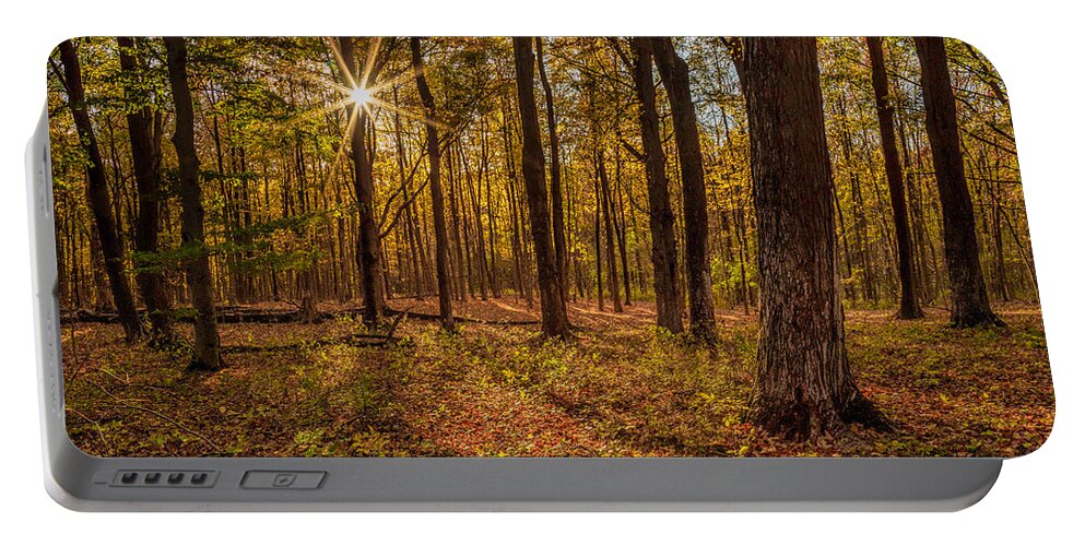 Woodland Portable Battery Charger featuring the photograph Woodland Light by Rod Best