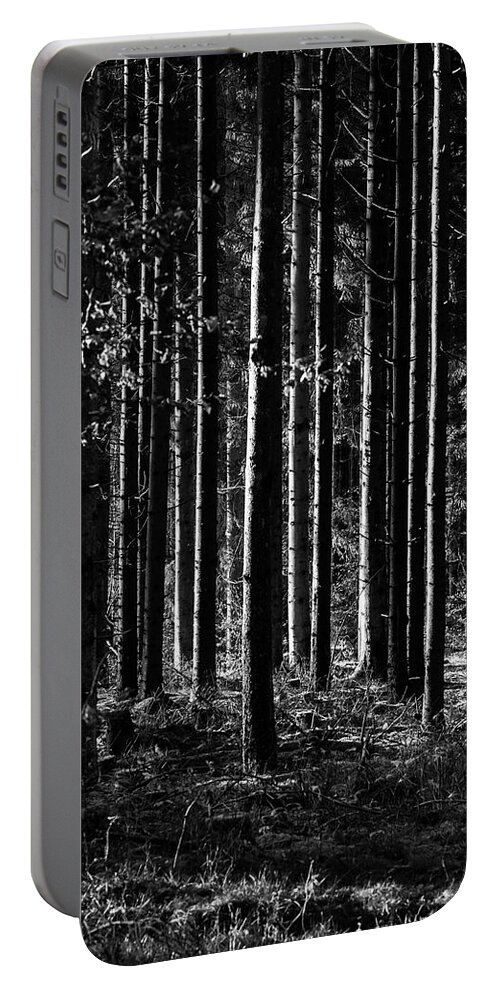 Woodland Portable Battery Charger featuring the photograph Woodland by Mike Santis