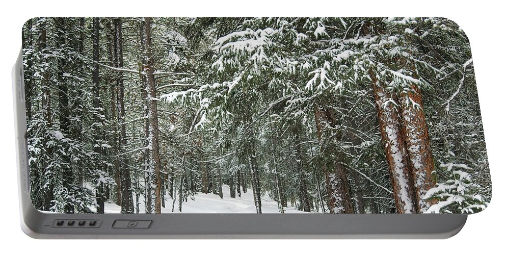 Forest Portable Battery Charger featuring the photograph Woods in Winter by Eric Glaser