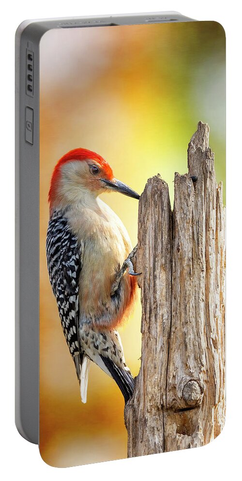 Woodpecker Portable Battery Charger featuring the photograph Woody At Work by Bill and Linda Tiepelman