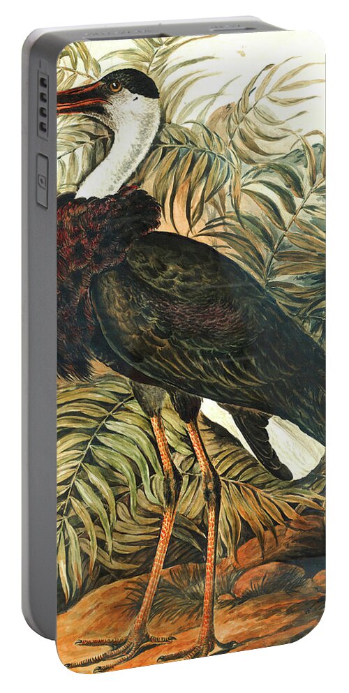 Woolly Portable Battery Charger featuring the painting Woolly-necked Stork by Long Shot