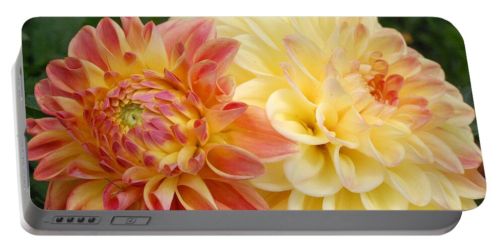 Dahlia Portable Battery Charger featuring the photograph Yellow and Orange Dahlias 1 by Amy Fose