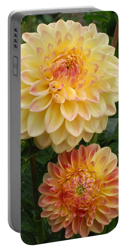 Dahlia Portable Battery Charger featuring the photograph Yellow and Orange Dahlias 2 by Amy Fose