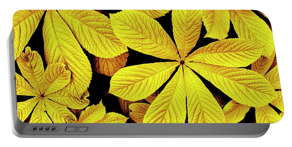 Yellow Portable Battery Charger featuring the photograph Yellow autumn leaves by Severija Kirilovaite