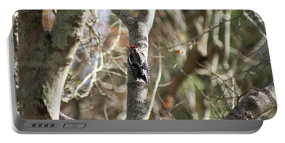  Portable Battery Charger featuring the photograph Yellow-bellied Sapsucker by Heather E Harman