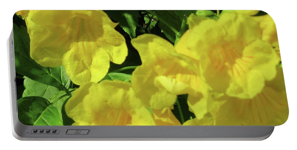 Yellow Portable Battery Charger featuring the photograph Yellow Bells 1 by Randall Weidner