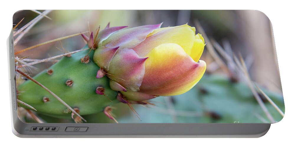 Prickly Portable Battery Charger featuring the photograph Yellow Cactus flower by Abigail Diane Photography