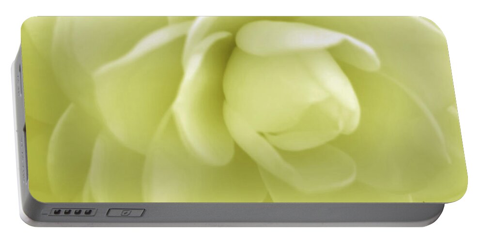Camellia Portable Battery Charger featuring the photograph Yellow Camellia by D Hackett