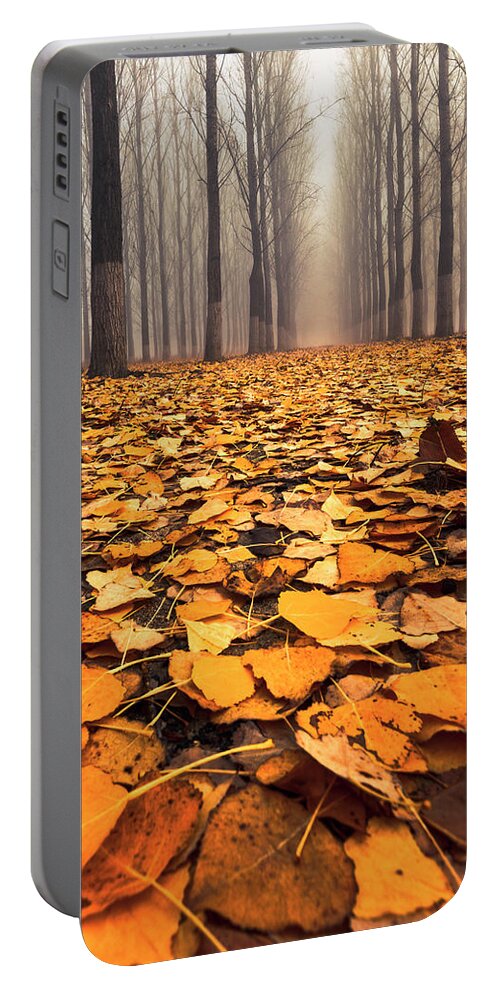 Bulgaria Portable Battery Charger featuring the photograph Yellow Carpet by Evgeni Dinev