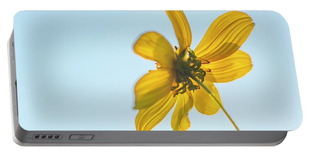 Daisy Portable Battery Charger featuring the photograph Yellow Daisy And Sky by Karen Rispin