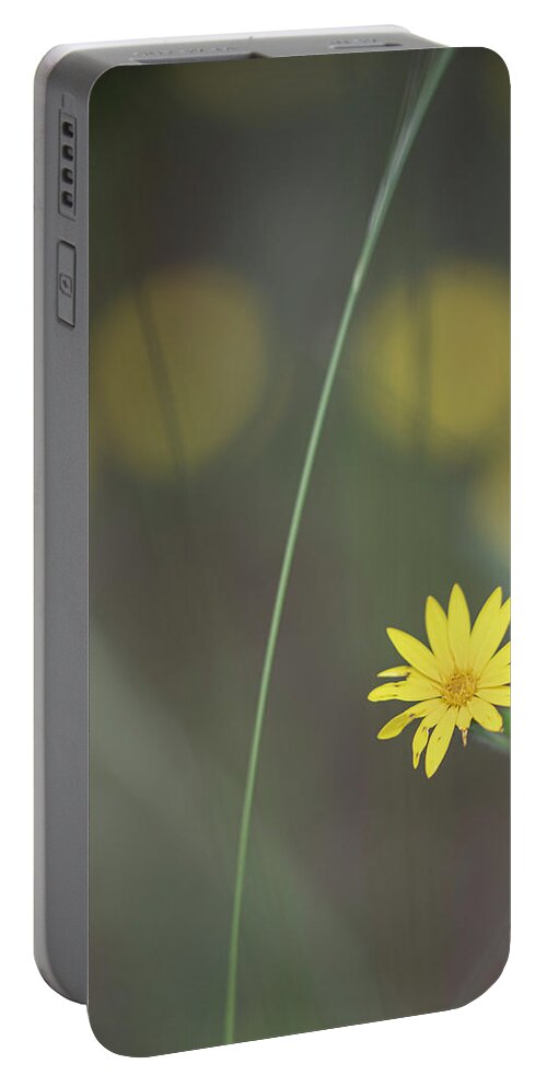 Daisy Portable Battery Charger featuring the photograph Yellow Daisy Close-up by Karen Rispin