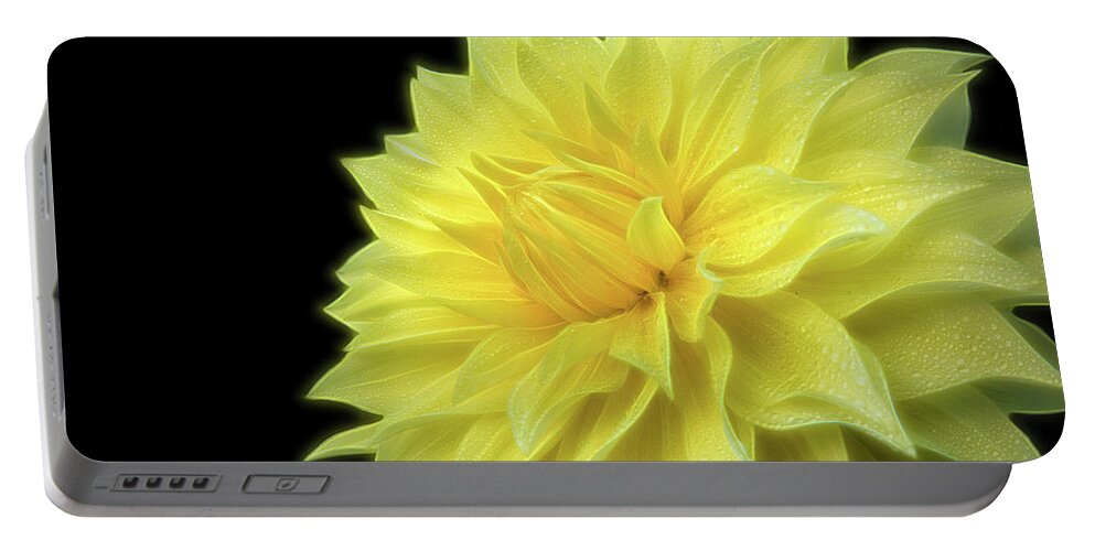 Dahlia Photography Portable Battery Charger featuring the photograph Yellow Dandy by Judi Kubes