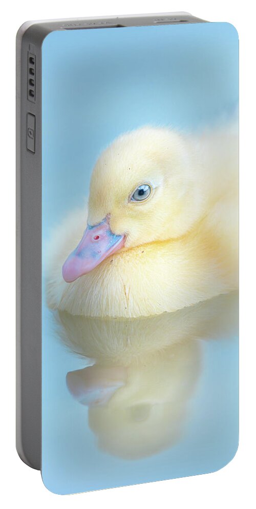 Yellow Duckling Portable Battery Charger featuring the photograph Yellow Duckling Reflections by Jordan Hill