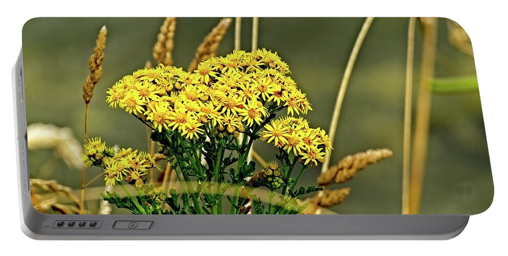 America Portable Battery Charger featuring the photograph Yellow Flowers, Brown Stalks by David Desautel