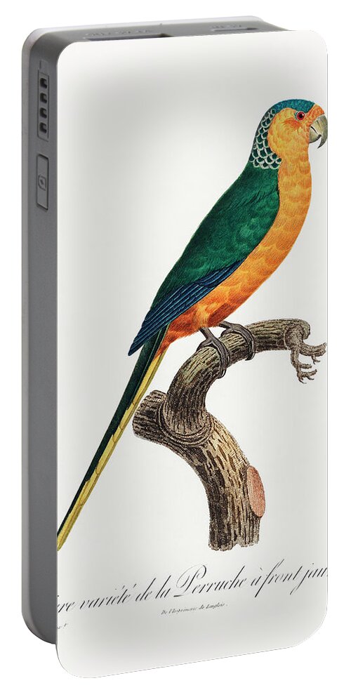 Yellow-fronted Parakeet Portable Battery Charger featuring the mixed media Yellow Fronted Parakeet by World Art Collective