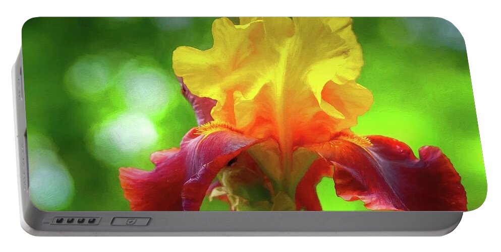 Iris Portable Battery Charger featuring the photograph Yellow Iris by Susan Rydberg