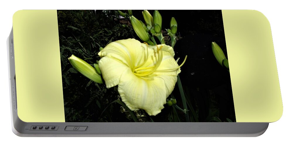 Lily Portable Battery Charger featuring the photograph Yellow Lily by Nancy Ayanna Wyatt